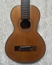 Load image into Gallery viewer, Vintage (Brand) Viator 12 Parlour 12 String Guitar in Gigbag - Upwey Music