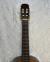 Load image into Gallery viewer, Ryoji Matsuoka M60N Classical Guitar in XTR Case

