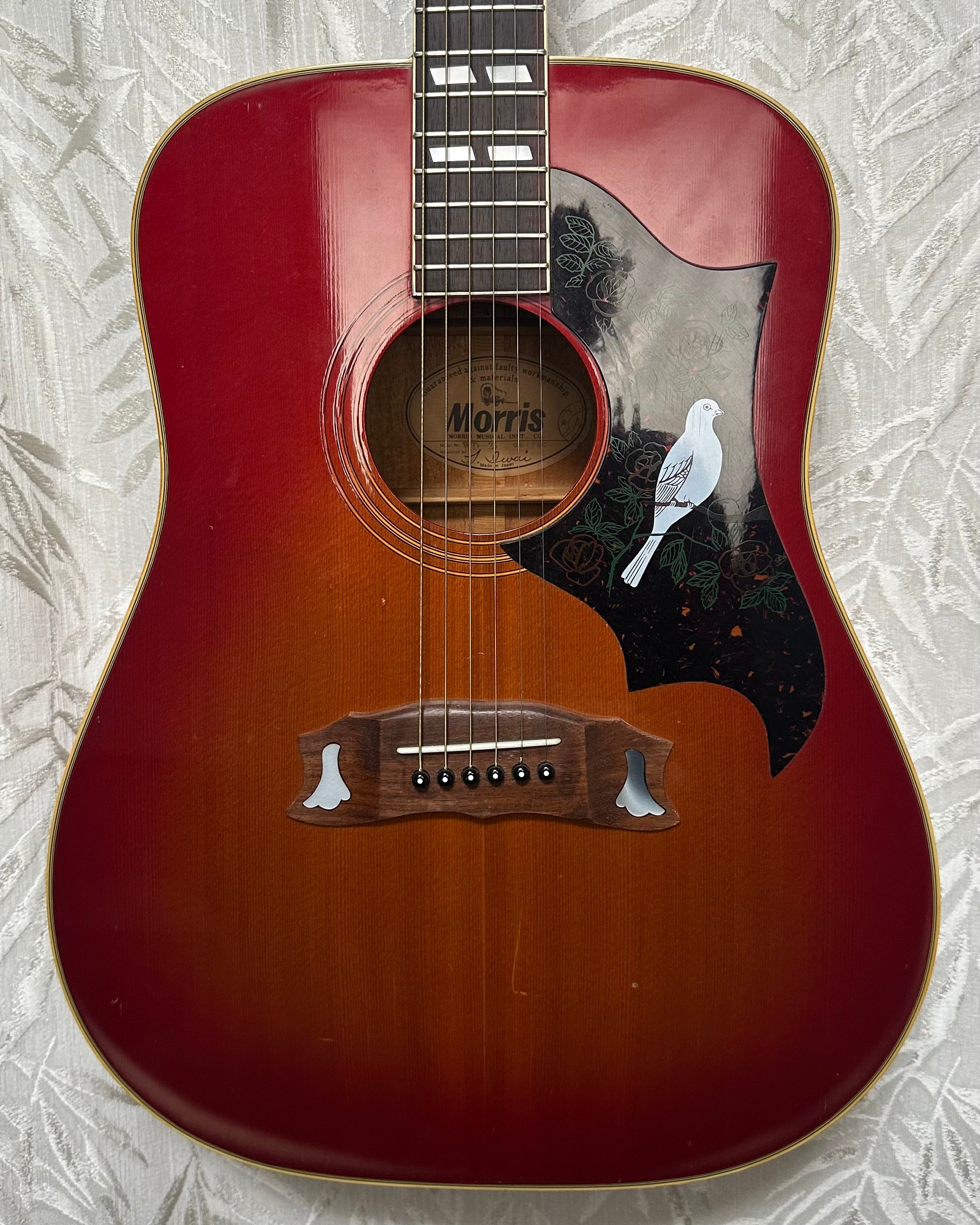 Morris WD-25 Dove Acoustic Circa 70s – Upwey Music