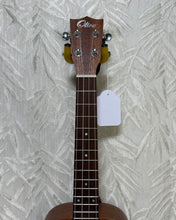 Load image into Gallery viewer, Olive - U280 Teor Ukulele Solid Flamed Okume Top - Upwey Music
