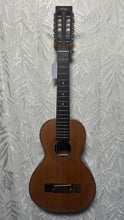 Load image into Gallery viewer, Vintage (Brand)  Viator 12 Parlour 12 String Guitar in Gigbag - Upwey Music
