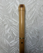 Load image into Gallery viewer, Moeck Tenor Recorder Double Key Low C Straight Head - Upwey Music
