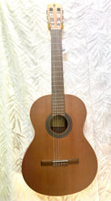 Load image into Gallery viewer, Alhambra College model Classical guitar in OSC
