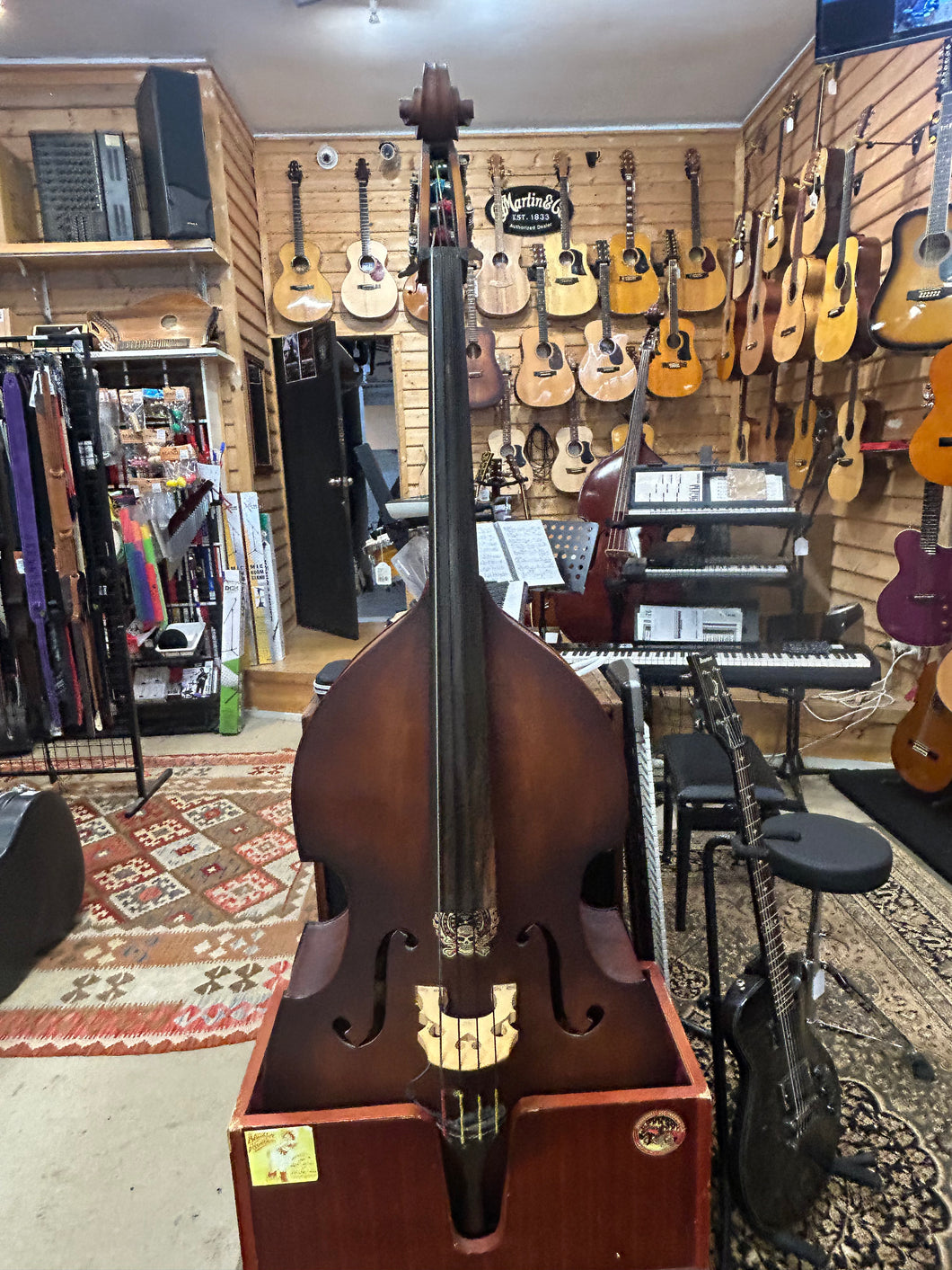 Franz Josef Double Bass in Bag w/ Stand