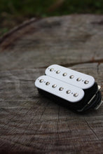 Load image into Gallery viewer, Labyrnth Pickups - Humbucker Fortuitous Bridge
