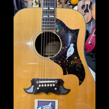 Load image into Gallery viewer, IBANEZ CONCORD 693 DREADNOUGHT IN CASE
