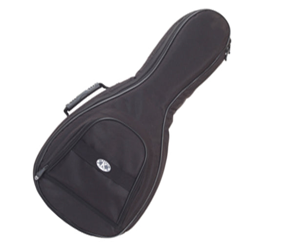 MANDOLIN CASE