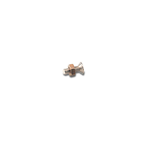 NUT & BOLT FOR LP SCRATCHPLATE HOLDER CHROME